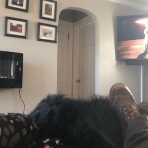 Meet your Posher, Shane